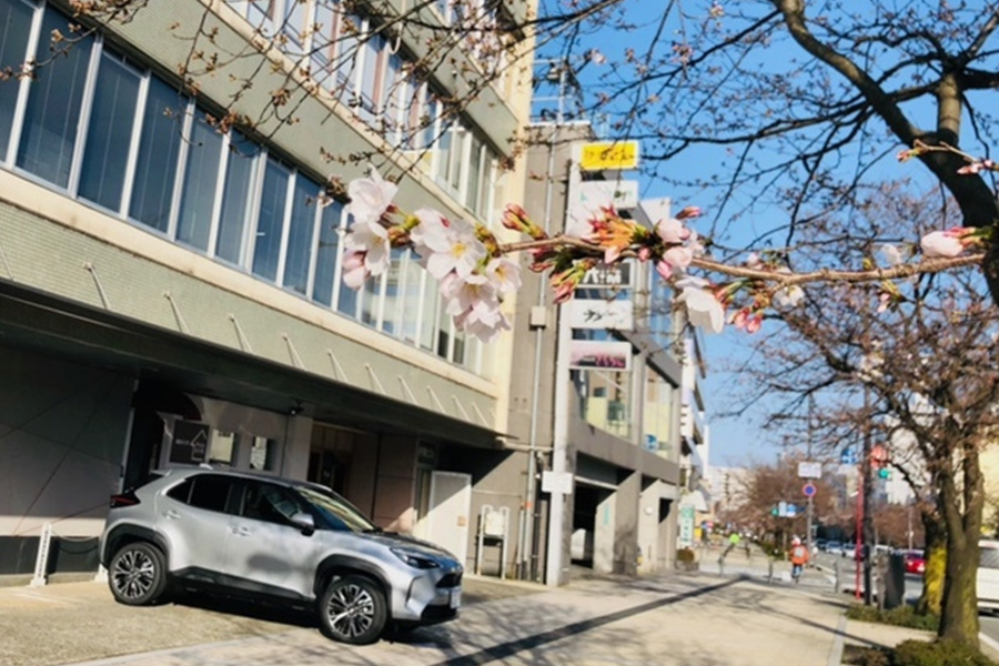 伊東歯科へご来院いただく皆様へ